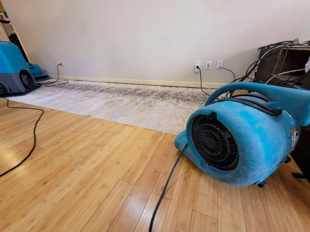 Professional Emergency Water Damage technician working in Pitman, NJ